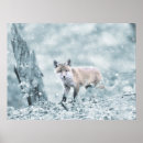 Suche nach fuchs schnee poster Natur