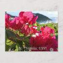 Suche nach bougainvillea postkarten Tropisch