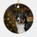 Suche nach waliser ornamente Corgi