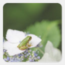 Suche nach sitzend aufkleber Natur