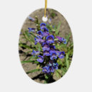 Suche nach blaue blumen ornamente Floral