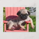 Suche nach sorglos poster Lustig