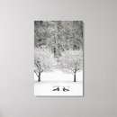 Suche nach stuhl leinwandbilder Natur