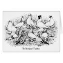 Suche nach bewohner postkarten Vogel