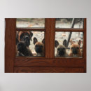 Suche nach bulldoggen poster Hund