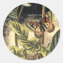 Suche nach vision aufkleber Botanisch