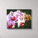 Suche nach rosa orchidee leinwandbilder Natur