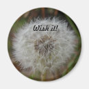 Suche nach löwenzahn magnete Wunsch