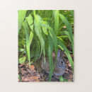 Suche nach säugetiere puzzle Kaninchen