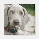 Suche nach zunge magnete Lustig