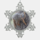 Suche nach lustiges eichhörnchen ornamente Niedlich