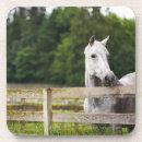 Suche nach pferdebilder untersetzer Cowboy