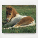 Suche nach miniatur mousepads Foto