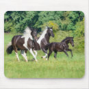 Suche nach pinto pferd mousepads Pferde