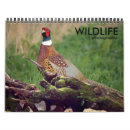 Suche nach wildlife kalender Vogelvogel