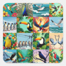 Suche nach phoenix vogel aufkleber Adler