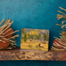 Suche nach buller fotoplatten Grenze danita