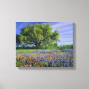 Suche nach lupinen poster leinwandbilder Wiese