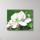 Suche nach apfelbaum leinwandbilder Natur