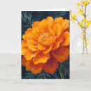 Suche nach ringelblume karten Aquarell