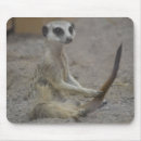 Suche nach meerkats mousepads Natur