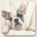 Suche nach englische bulldoggen untersetzer Horizontal