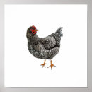 Suche nach weiße vögel poster Aquarell