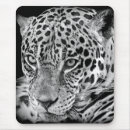 Suche nach schwarzer jaguar mousepads Tier