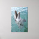 Suche nach tierkopf leinwandbilder Natur