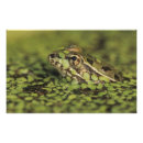 Suche nach rio grande kunst Natur