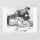 Suche nach wertvolle postkarten Katze