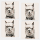 Suche nach kleidungs etiketten Zum aufbügeln