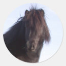 Suche nach pony aufkleber Reiter