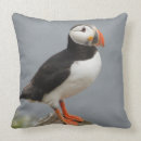 Suche nach die antarktis kissen Vogel