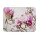 Suche nach der frühling magnete Magnolie