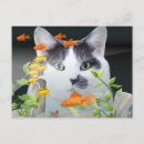 Suche nach katze und goldfisch postkarten Katzen