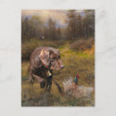 Suche nach jagen postkarten Zeiger