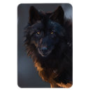 Suche nach schwarzer wolf magnete Schwarzwolf