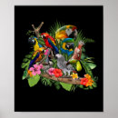 Suche nach cockatoo poster Dschungel