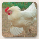 Suche nach hen untersetzer Vögel