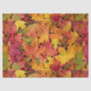 Suche nach goldene hochzeit seidenpapier Newly weds