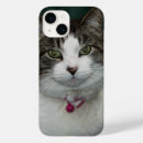 Suche nach schauer iphone hüllen Katze