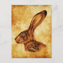 Suche nach jackkaninchen postkarten Hasen
