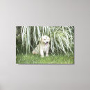 Suche nach hinterhof leinwandbilder Front oder hinterhof