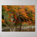 Suche nach lions poster Für sie