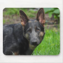 Suche nach german mousepads Portrait