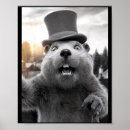 Suche nach ground poster Waldmurmeltier