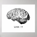 Suche nach human poster Anatomical