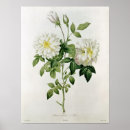 Suche nach engraving poster Pierre