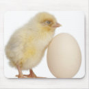 Suche nach küken mousepads Vögel